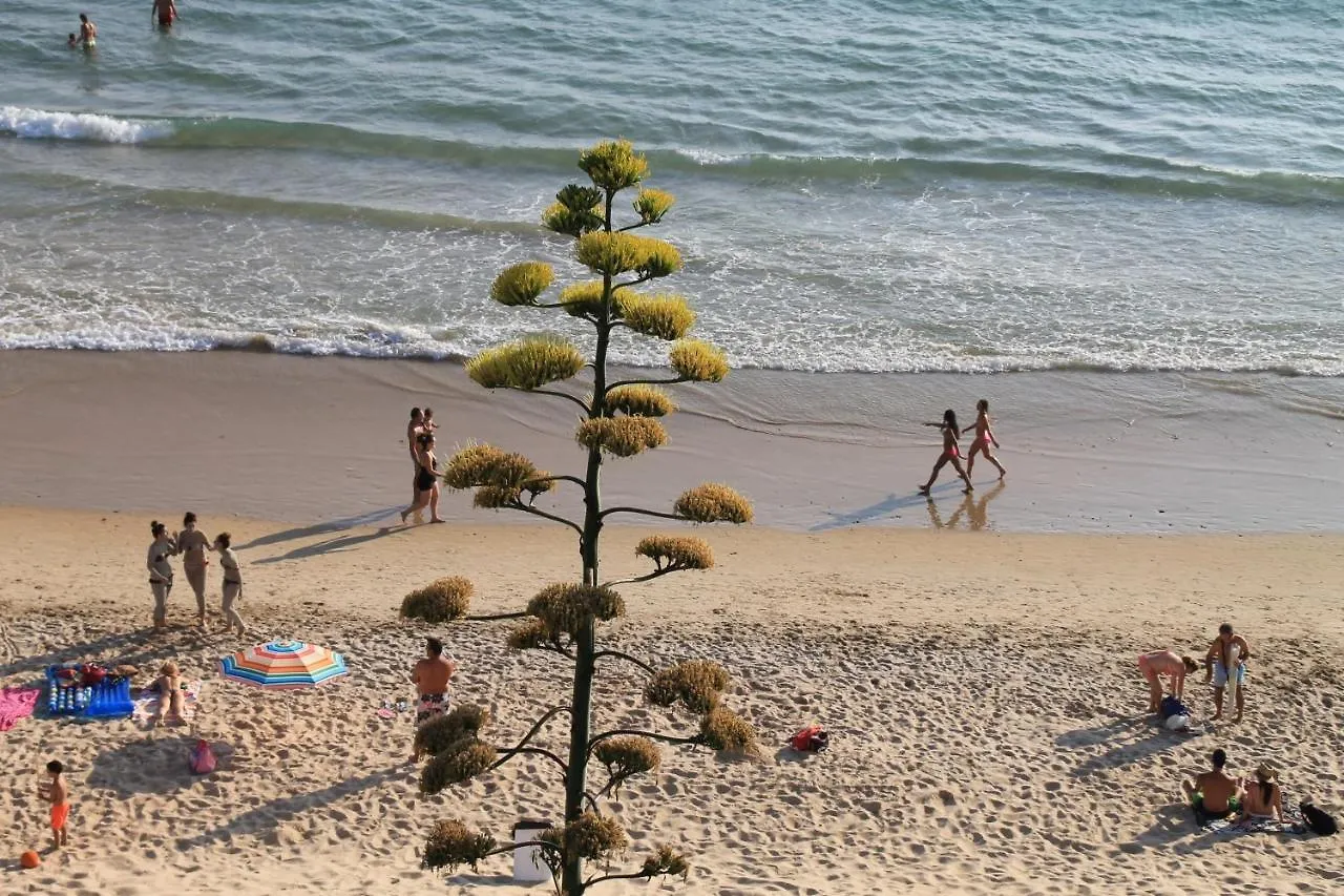 Dali Al Mar Apartment Conil De La Frontera 0*,  Spain